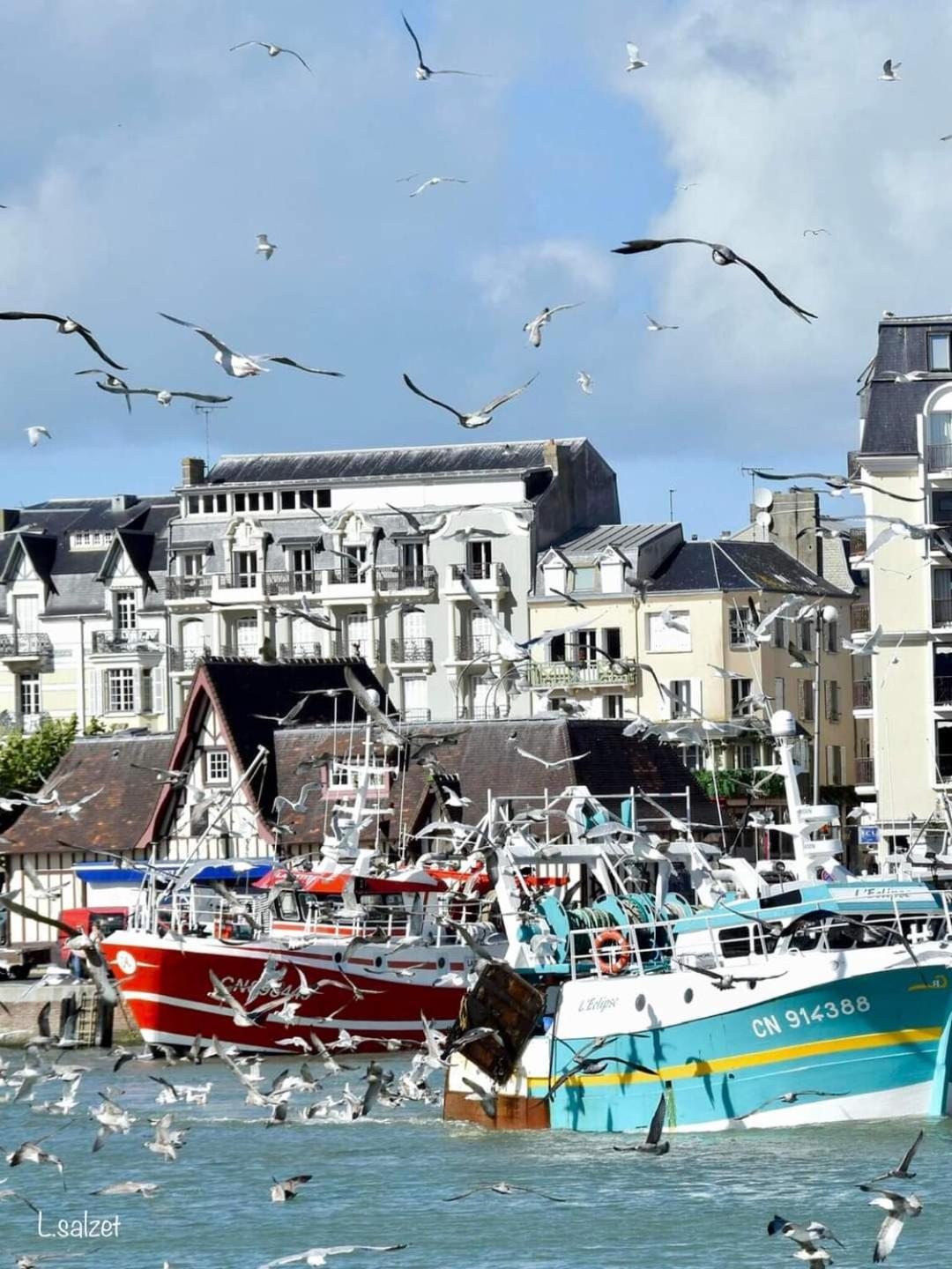 Studio De Charme A Trouville Sur Mer. Luaran gambar